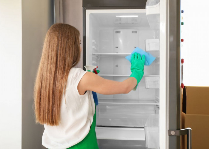 Bunda, Begini Lho Cara Mudah Bersihkan Freezer Kulkas 