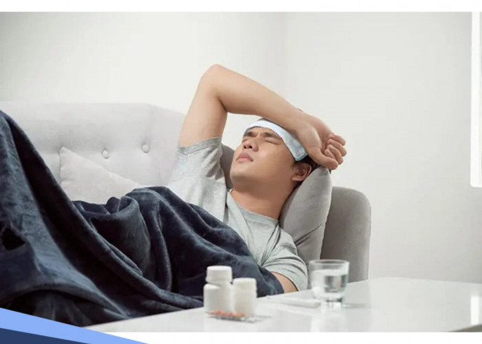 Jangan Dikit-dikit Minum Obat, Coba Tanaman Ini untuk Mengobati Demam