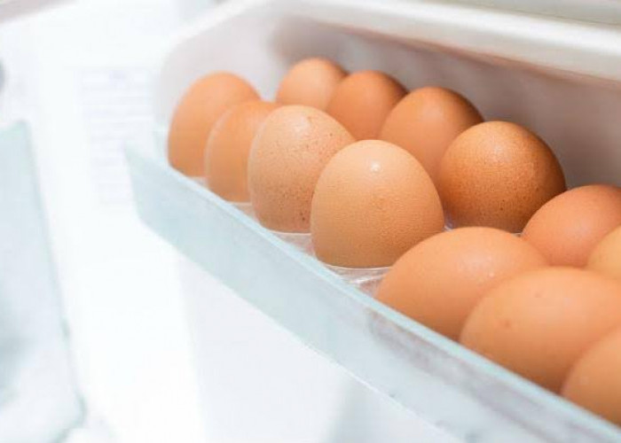 3 Alasan Jangan Sampai Menyimpan Telur di Rak Pintu Kulkas, Ibu Rumah Tangga Wajib Tahu