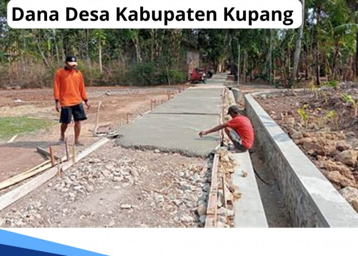 Rincian Dana Desa 2024 di Kabupaten Kupang NTT, Desa Mana yang Dapat Kucuran Paling Tertinggi?