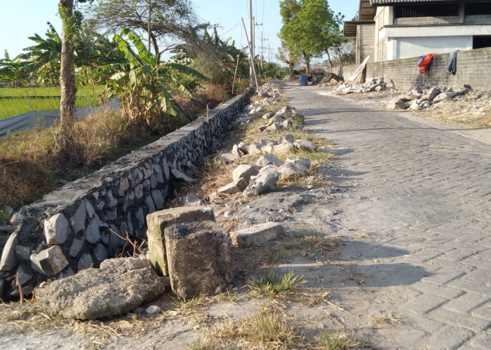 Rincian Dana Desa di Kabupaten Barito Timur Tahun 2024, Desa Mana yang Paling Besar?