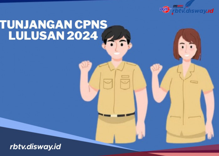 Tunjangan CPNS Lulusan Tahun 2024, Apakah Cukup untuk Membiayai Keluarga?