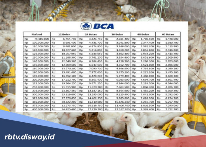 Cek di Sini, Tabel Angsuran Pinjaman KUR BCA Rp 150 Juta Cicilan Rp 2 Jutaan