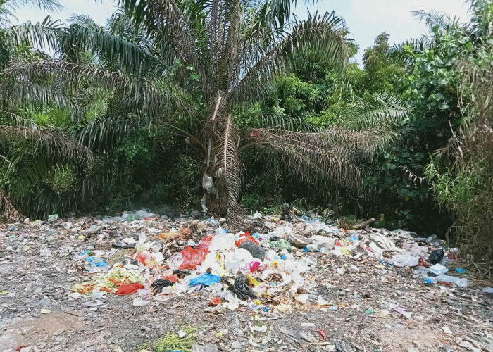 Marak Tempat Pembuangan Sampah Liar di Kota Bengkulu, Warga Khawatirkan Dampaknya