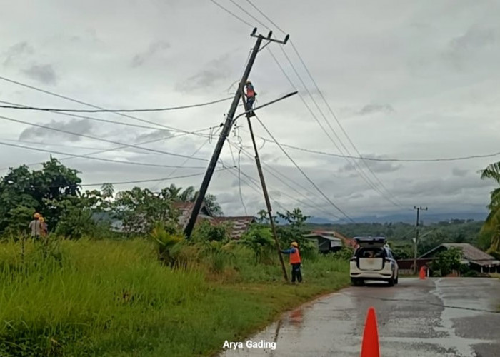 15 Tiang Listrik Roboh Akibat Angin Kencang di Seluma, ULP PLN Rayon Tais Lembur