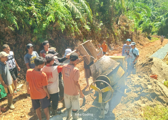 Demi Sang Guru Bisa Mengajar, Warga Eks Trans Semandep Seluma Gotong Royong Cor Jalan