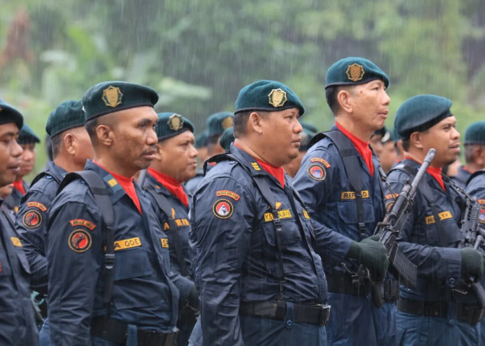 Pendaftaran CPNS Polhut 2026: Tata Cara Pendaftaran dan Jadwal Pelaksanaan