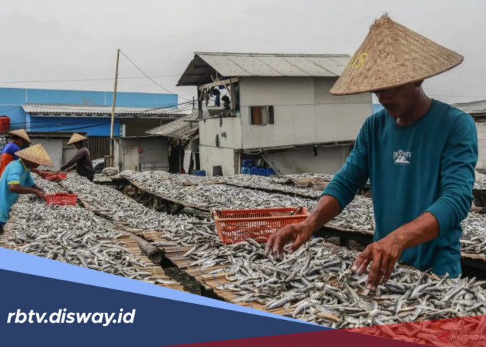 Tabel Angsuran KUR BRI Rp 25 Juta Bulan Juni 2026, Siapkan Uang Segini Per Bulan 
