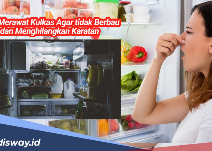 Tidak Sulit, Begini Cara Merawat Kulkas agar Tidak Berbau dan Menghilangkan Karat yang Menempel 