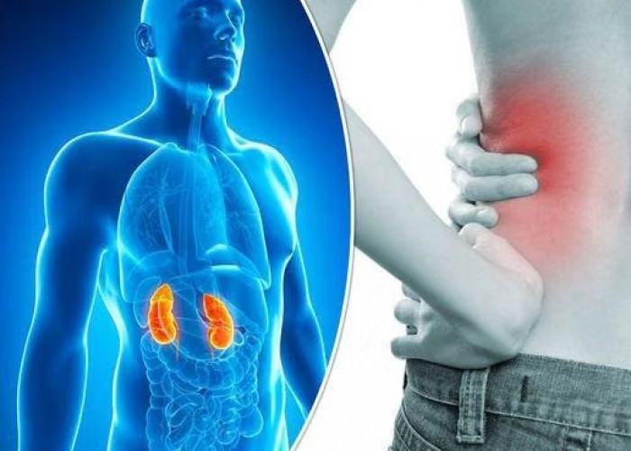 7 Kebiasaan Sepele yang Tanpa Disadari Bisa Merusak Kesehatan Ginjal Sejak Muda