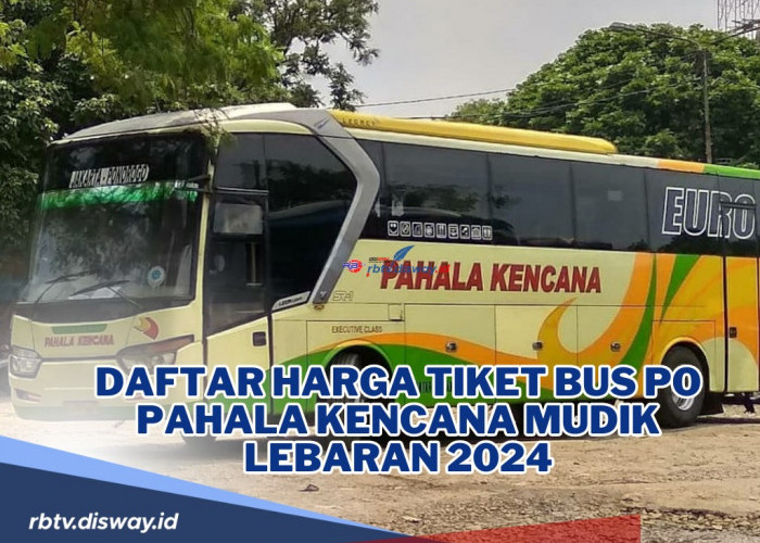 Daftar Harga Tiket Bus PO Pahala Kencana Mudik Lebaran 2024 dan 4 Jenis Tipe Layanannya