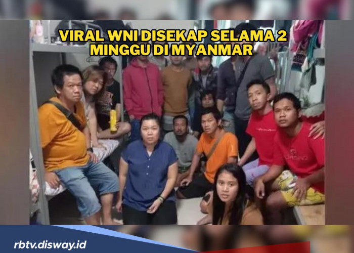 Viral WNI Disekap Selama 2 Minggu di Myanmar dan Mendapat Perlakuan Kasar, Makan hanya Sehari Sekali