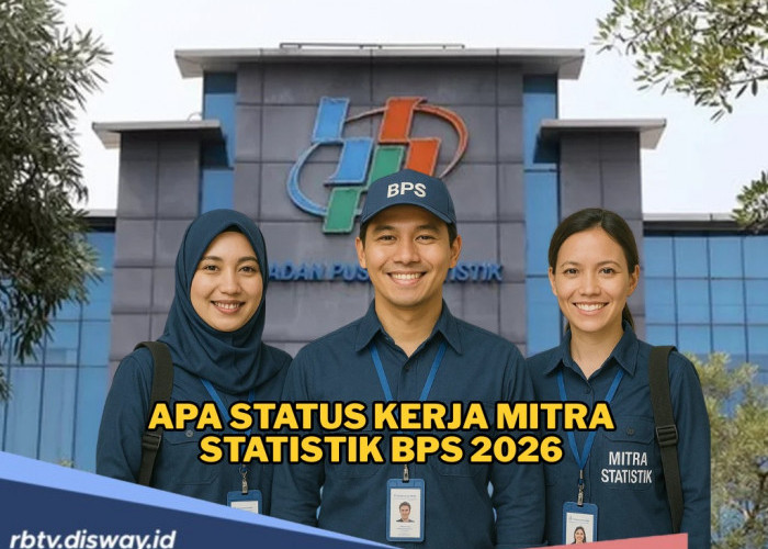 Alur Seleksi Peserta Mitra Statistik BPS 2026, Begini Aturan Kontrak Kerjanya
