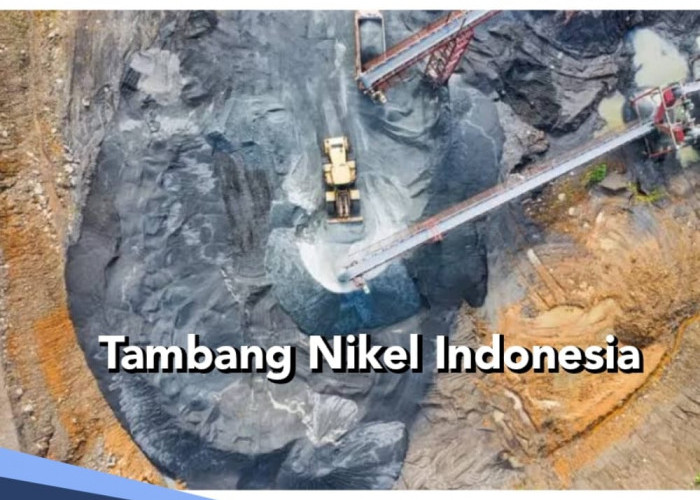 Luar Biasa, Indonesia Punya Cadangan Nikel 140,3 Juta Ton, Ini Daerah Penguasanya