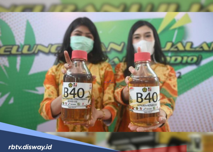 Program Biodesel B40 Dimulai Awal Tahun 2025 di Indonesia, Ini Komentar Bos Toyota dan BPDPKS