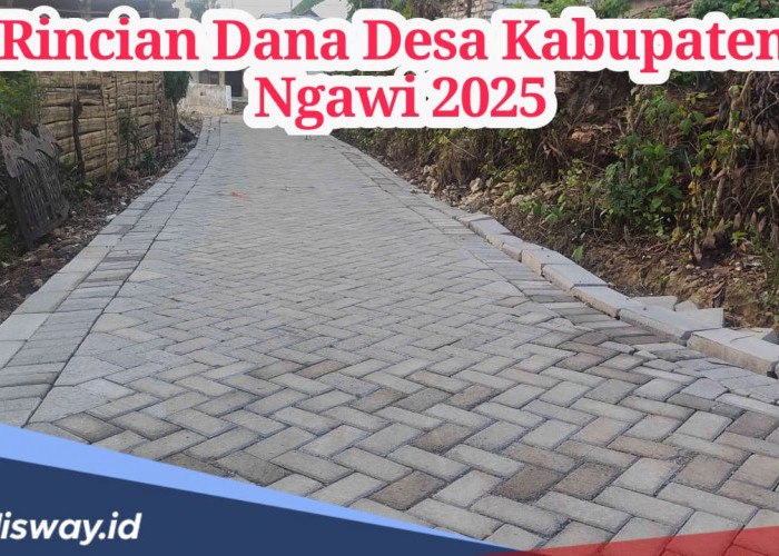 Rincian Dana Desa Kabupaten Ngawi 2025, Banyak Desa yang Terima Anggaran di Bawah Rp 1 Miliar