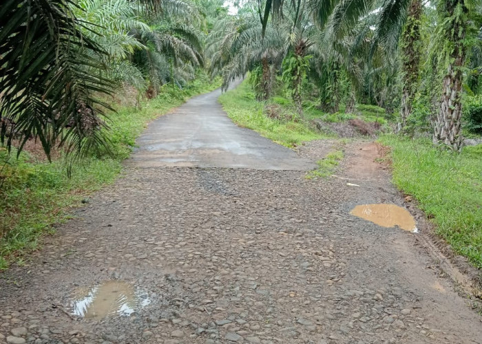 Proyek Pembangunan Jalan di Desa Simpang Seluma Utara Terhenti, Warga Berharap Segera Berlanjut