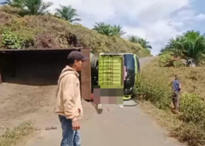 Laka Tunggal di Bengkulu Tengah, Supir Dump Truk Muatan Pasir Meninggal Akibat Terhimpit Badan Truk