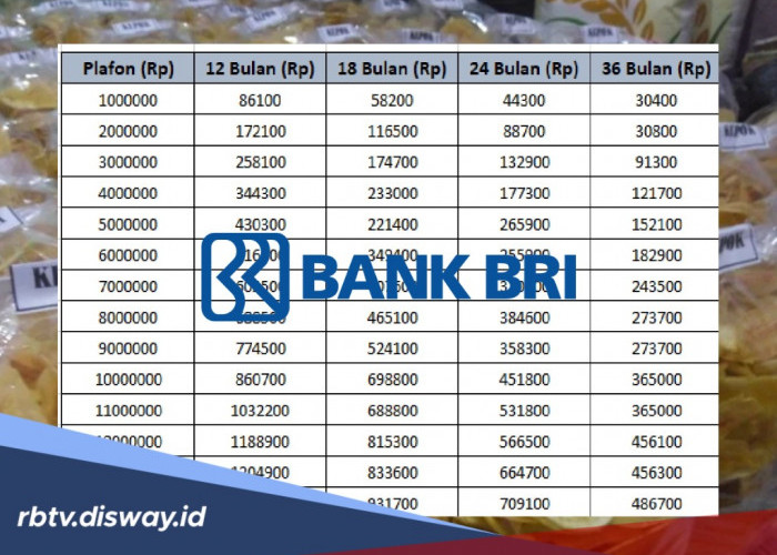 Pinjaman KUR BRI Rp 15 juta