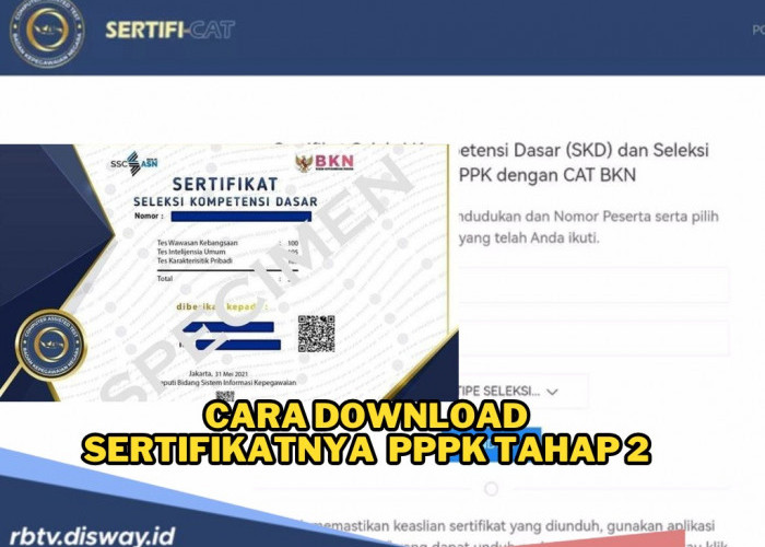 Cara Download Sertifikat  dan Jadwal Lengkap seleksi PPPK tahap II 2024 
