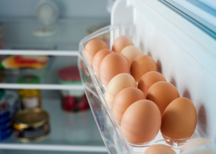 5 Ways to Store Eggs in the Refrigerator to Keep Them Safe and Long-Lasting