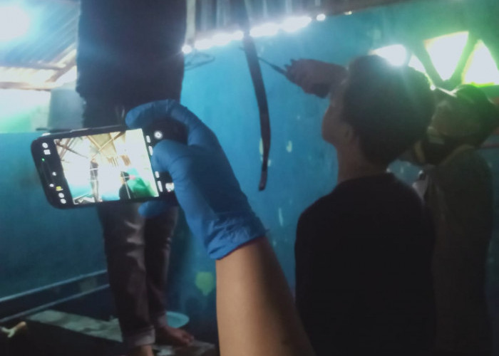 Tepat di Hari Ulang Tahun, Mahasiswa di Kota Bengkulu Ditemukan Meninggal Dunia dengan Cara Tragis