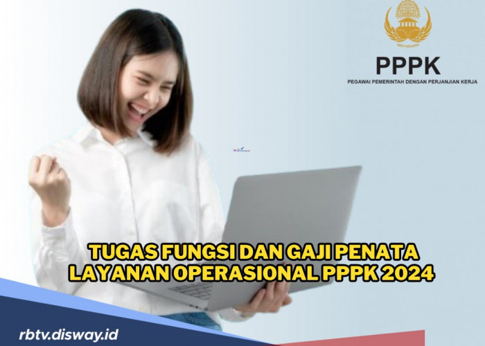 Pahami, Ini Tugas Fungsi dan Gaji Penata Layanan Operasional PPPK 2024