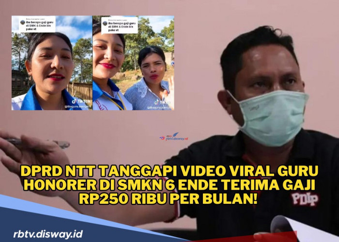 Viral Guru Honorer Mengaku Digaji Rp 250 Ribu per Bulan, Respon Pejabat Ini malah Bikin Nitizen Geram