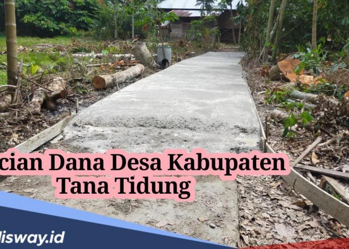 Rincian Dana Desa Kabupaten Tana Tidung 2024, dari 32 Jumlah Desa 10 Desa Ini dapat Kucuran Dana Lebih Rp 1 M