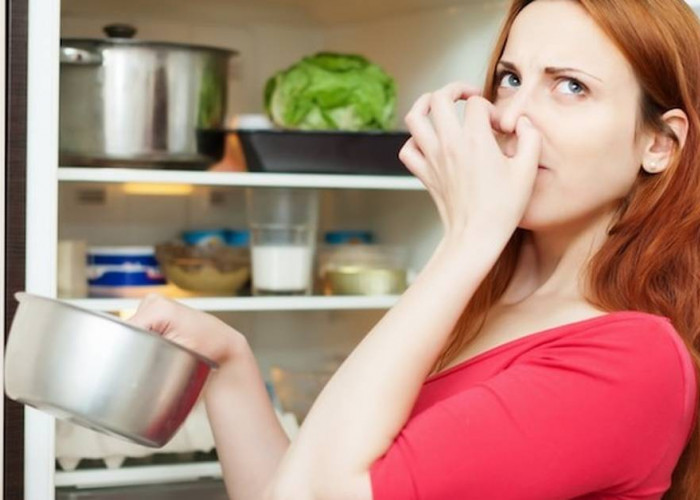 How to Deal with a Rusty and Odor-Prone Refrigerator