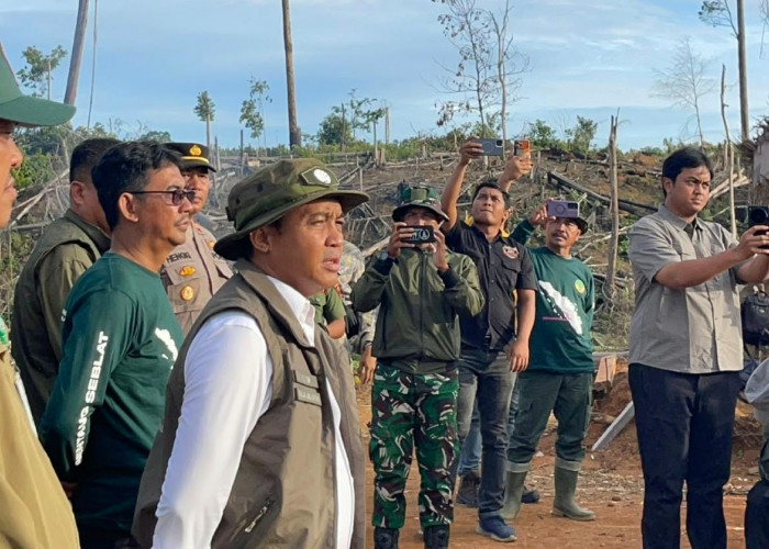 Hasil Tim Patroli Gajah Ditemukan 200 Hektar Hutan di Bengkulu Dirambah dan Ada Tambang Emas Liar 