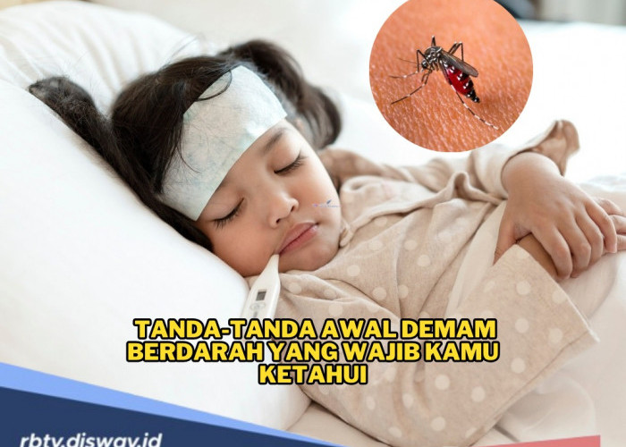 Jangan Anggap Remeh! Ini Tanda-tanda Awal Demam Berdarah yang Wajib Kamu Ketahui, Segera Tangani