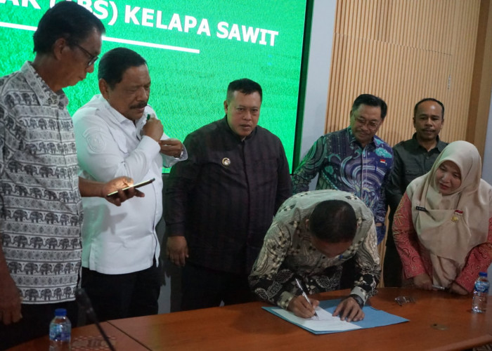 Pemprov Bengkulu Rapat dengan Perusahaan Kelapa Sawit,  Wagub Mian Minta Harga TBS Balik ke Rp3.465/Kg