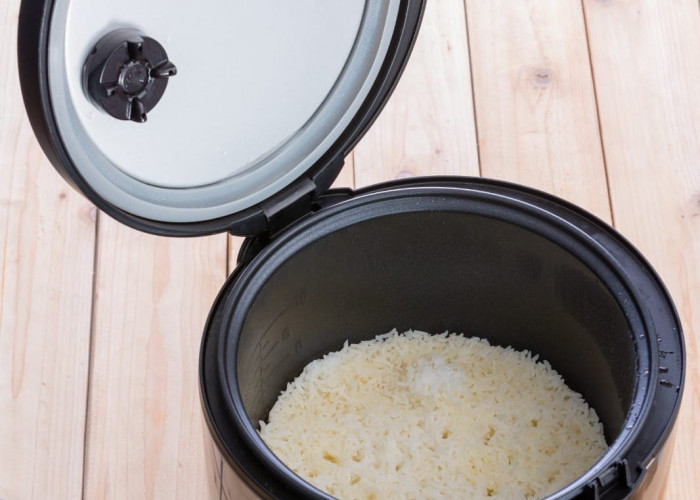 Ada Bantuan Rice Cooker dari Pemerintah, Kapan akan Dibagikan? Ini Informasi Terbarunya 