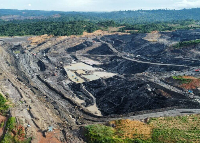 Lumbung Harta Karun, Ini Daftar Tambang Batu Bara Terbesar di Jambi 