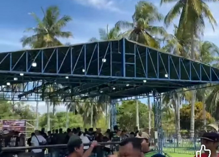 Turnamen Burung Murai Mania Goes to Bengkulu Gagal Digelar, Kenapa?