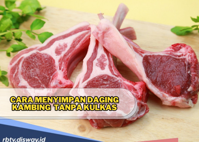 Tidak Semua Berhak Terima Uang Rp 150 per Bulan, Ini Golongan Pekerja yang Bisa Dapat BSU 2025