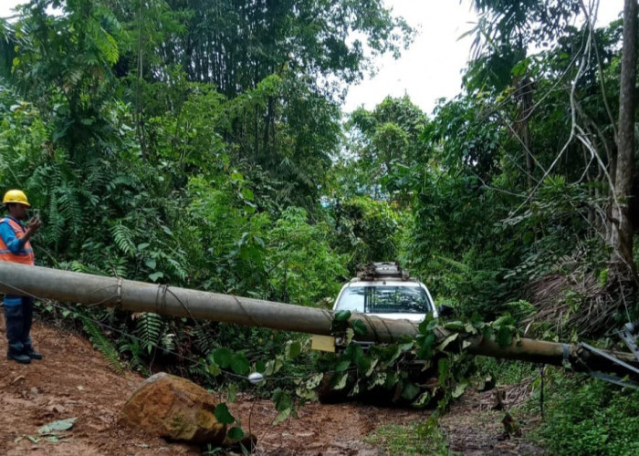 Waspada Cuaca Ekstrem! Tiang PLN di Seluma Roboh, Listrik Padam 