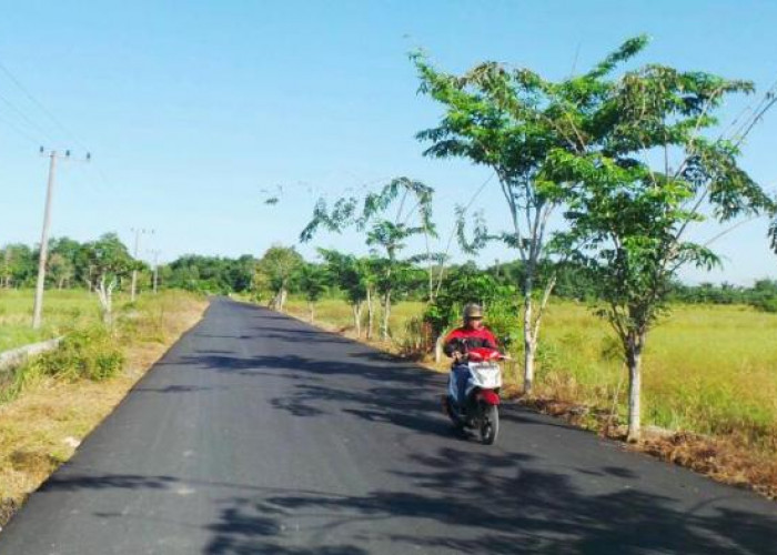 Sudah Disalurkan, Segini Dana Desa di Kabupaten Banyumas Tahun 2024, Mayoritas untuk Perbaikan Jalan