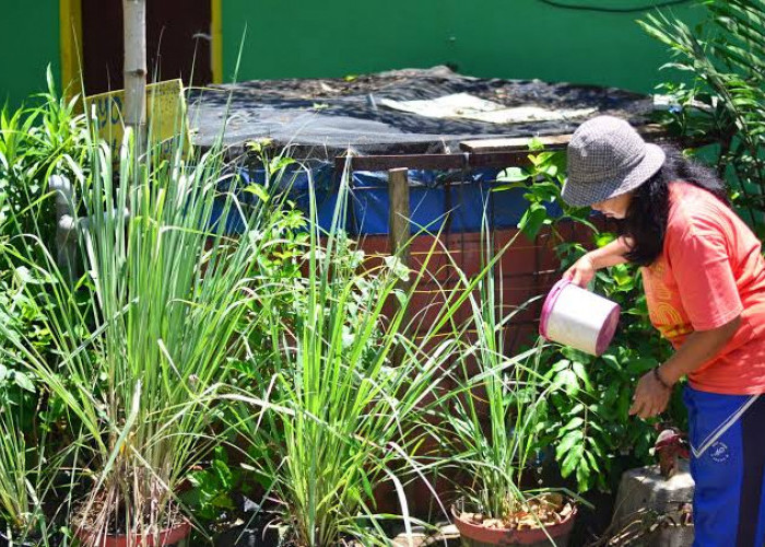 Jangan Buru-buru Beli Obat, Pakai Bumbu Dapur Ini untuk Menurunkan Kolesterol