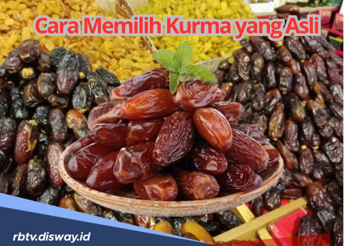 Jangan Salah Beli dan Tergiur Harga Murah, Begini Cara Memilih Kurma yang Asli untuk Takjil Selama Ramadan