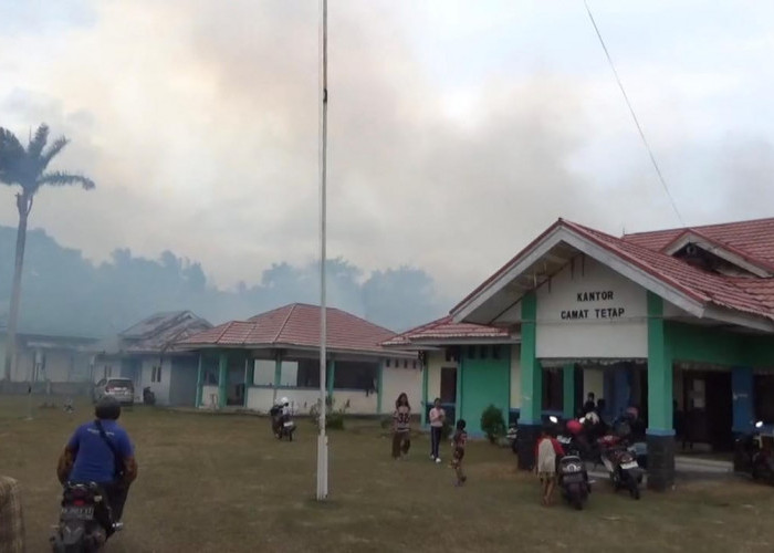 Bakar Lahan Berujung Petaka, Pemilik Mengaku Tak Sengaja