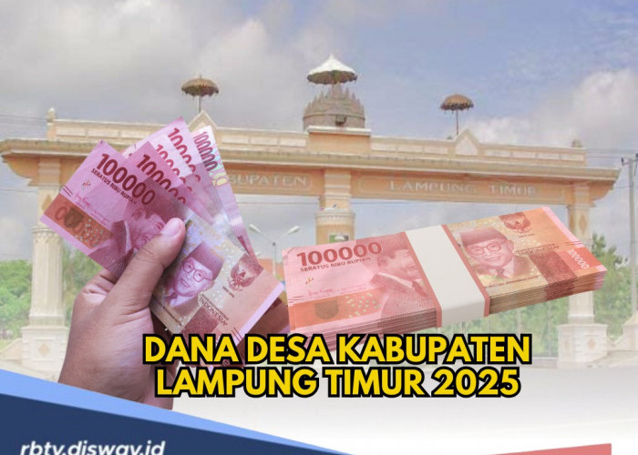 Rincian DANA Desa Kabupaten Lampung Timur 2025, Digelontorkan Rp 269 Miliar, Ini Rincian per Desa