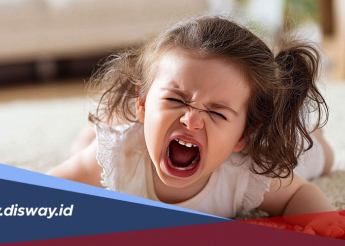 Anak Tantrum? Berikut 7 Cara Menghadapinya Tanpa Membentak