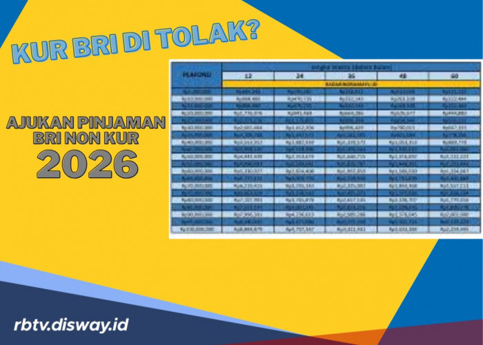 Syarat Mudah, Angsuran Ringan, Silakan Ajukan Pinjaman BRI Non KUR