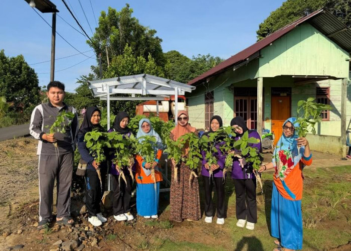 DASTING UMB Hadirkan Hidroponik di Desa Sri Kuncoro Menuju Desa Zero Stunting