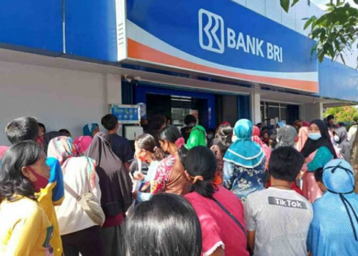 Mau Pinjam KUR BRI Rp 75 Juta, Ini Tabel Angsuran dan Syarat Terbarunya