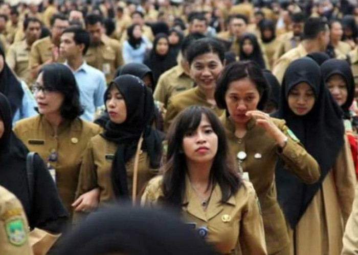 Ini Daftar Nama 3.043 Honorer P1 se-Indonesia yang Tinggal Tunggu Penempatan PPPK, Silakan Cek. (Bagian 2)