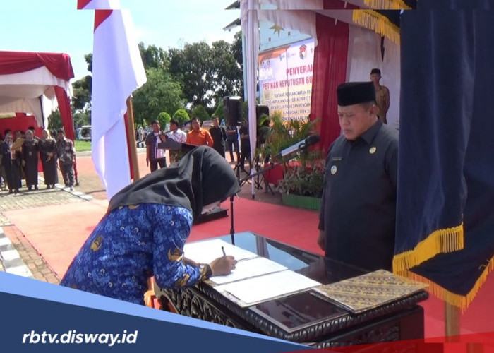 Sabar Ya, Hasil Seleksi PPPK Tahap 2 Pemkot Bengkulu Diumumkan 16-30 Juni