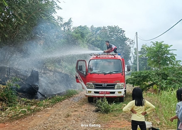 Seluma Dikepung Ancaman Karhutla, Armada Damkar Hanya 3 Unit yang Siap Tempur